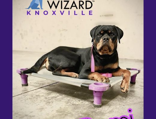 The Dog Wizard Franchise Malaysia
