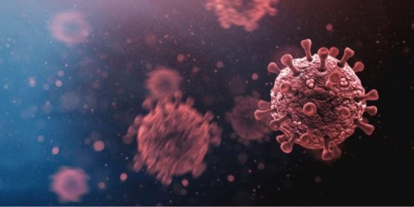 Govt Rolling Out Influenza Vaccination Program For Senior Citizens From Feb 18