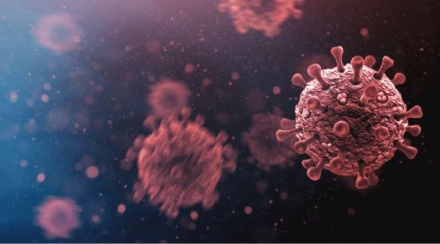 Govt Rolling Out Influenza Vaccination Program For Senior Citizens From Feb 18