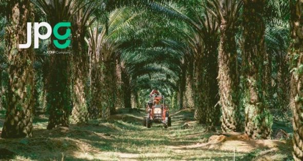 Johor Plantations’ Strategic Advantage