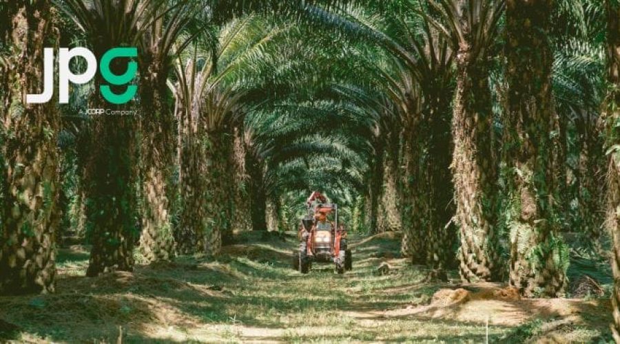 Johor Plantations’ Strategic Advantage