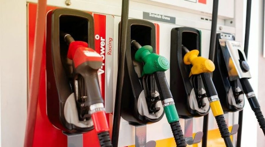 Government May Delay Subsidy Reforms: CGS