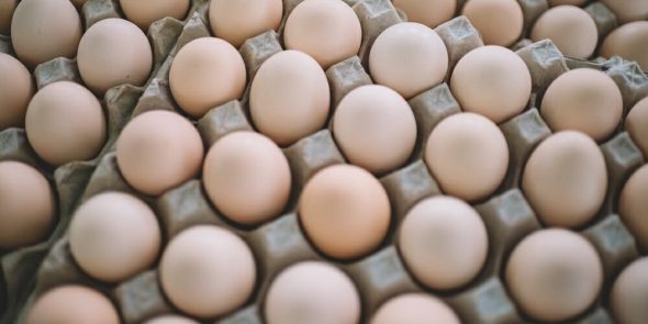 Govt Expected To Save RM135 Million From Removing Egg Subsidy