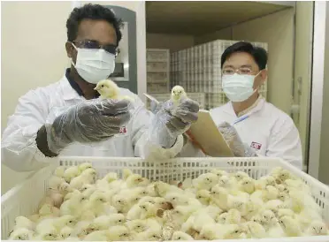 Quality control checks being performed at a CAB Cakaran processing facility.