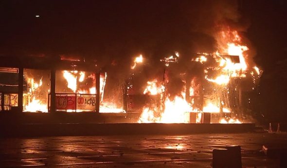 Solidariti Nasi Goreng Indonesia? Jangan Lepaskan Anjing Tersepit!