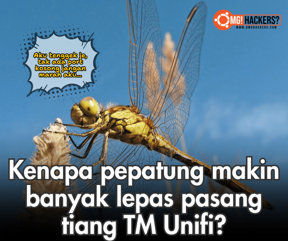 Kenapa Pepatung Semakin Banyak di Kawasan Rumah Selepas Kabel Unifi