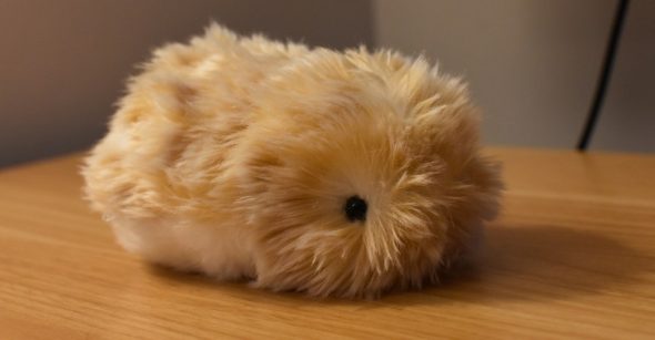 Casio’s AI pet Moflin will haunt my dreams
