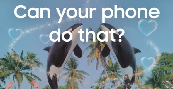 Why can’t TikTok identify AI generated ads when I can?