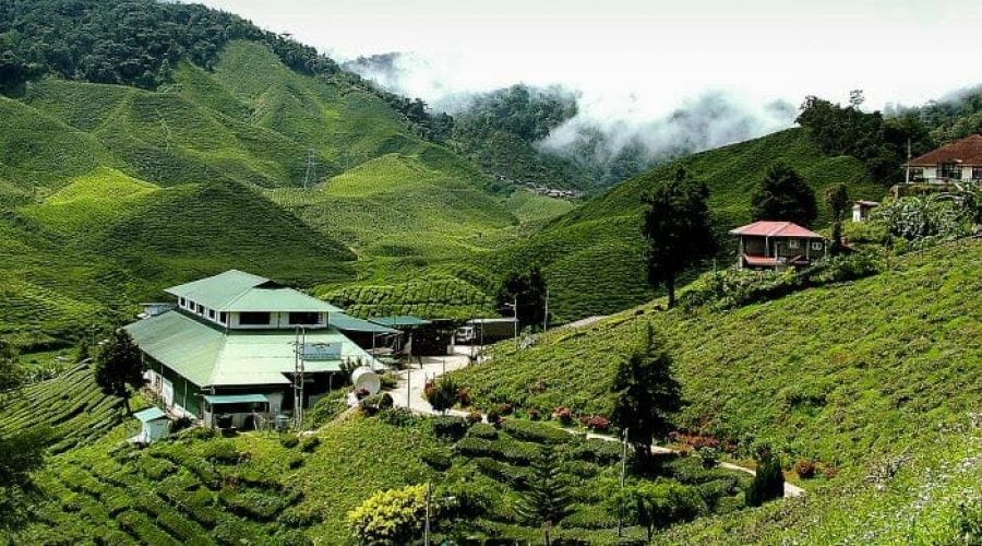 Malaysia’s Producer Price Index Drops 3.4% In February As Commodity Prices Cool