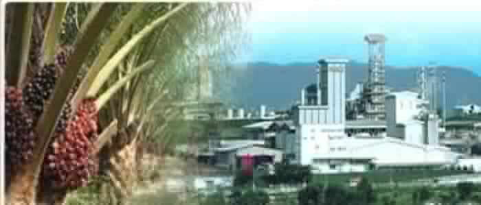 Batu Kawan Completes First Tranche Of MKH Oil Palm Share Acquisition